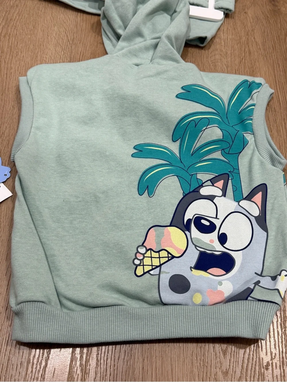 Bluey Kids Mint Green Hooded shorts Set with Sunglasses Pup Graphic